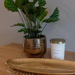 Muszelkowe Polanki Lejlighed *