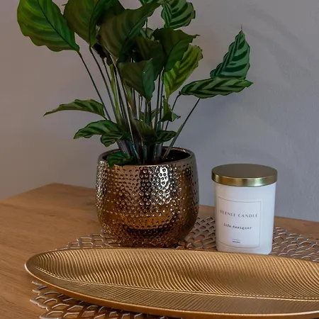 Muszelkowe Polanki 公寓 *