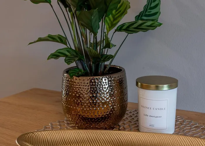 Muszelkowe Polanki Appartement *